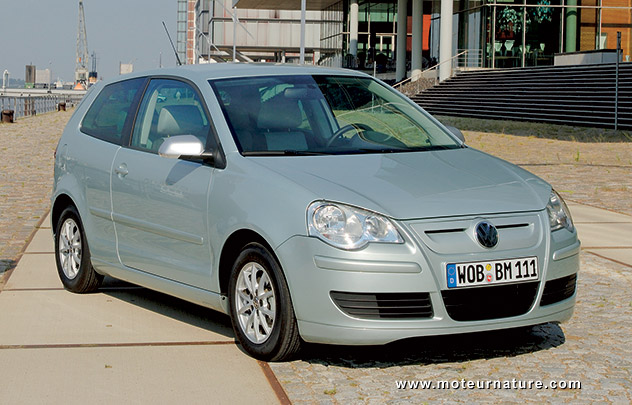 Volkswagen Polo BlueMotion 2009